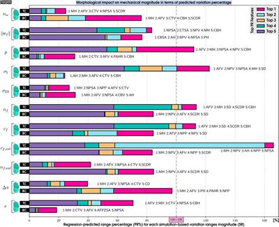 Unveiling interactions between intervertebral disc morphologies and mechanical behavior through personalized finite element modeling